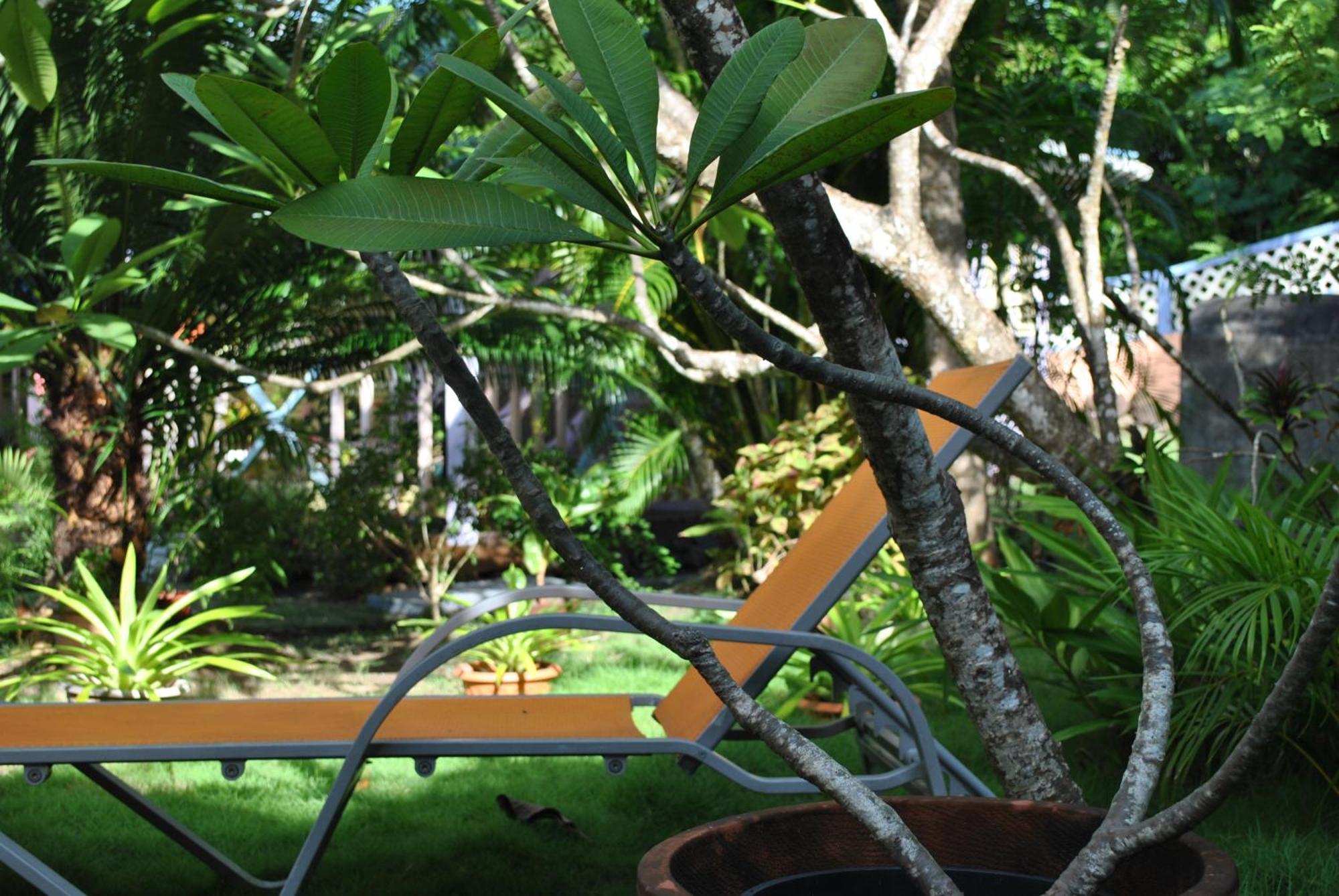 Villa Caribbean Dream Vieux Fort Eksteriør bilde